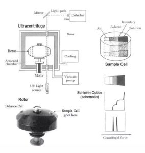 Analytical Ultracentrifuges